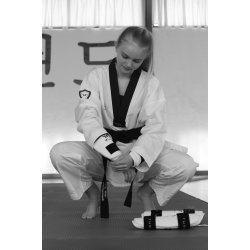 Taekwondo Standard armbeskytter