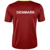 Craft Extend Jersey DENMARK