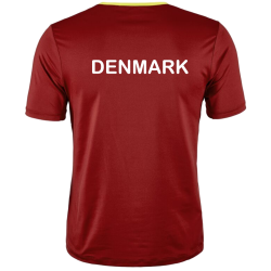Craft Extend Jersey DENMARK
