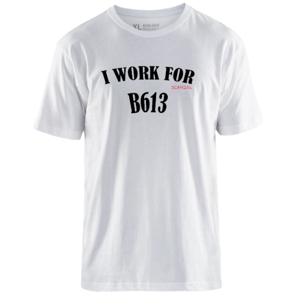 I work for B613
