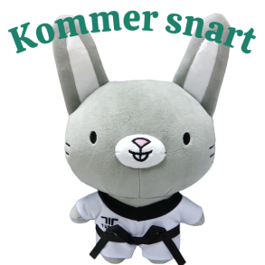 TKD Friends Bunny