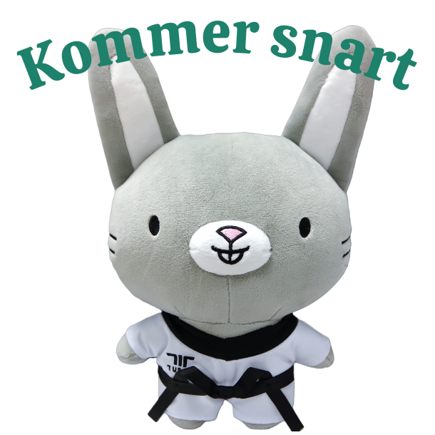 TKD Friends Bunny